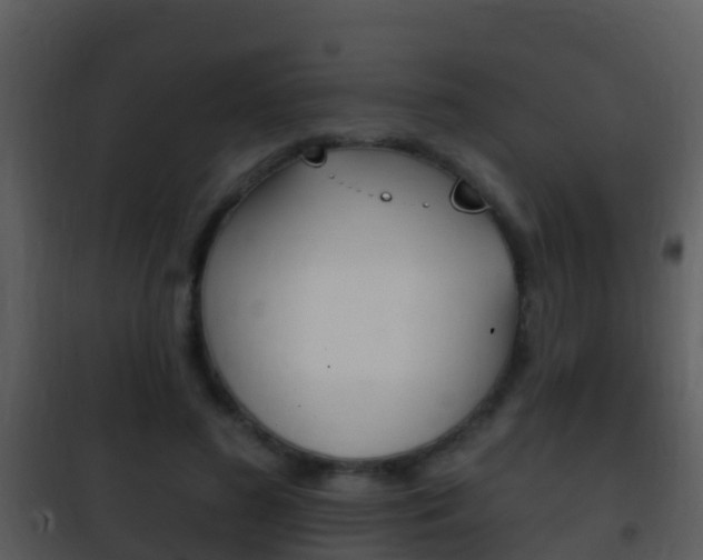X0000101970596200807180728