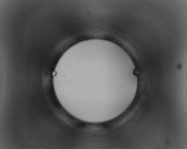 X0000101970597200807180728