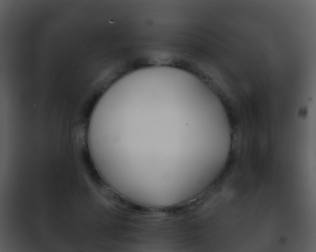 X0000101970598200807180728