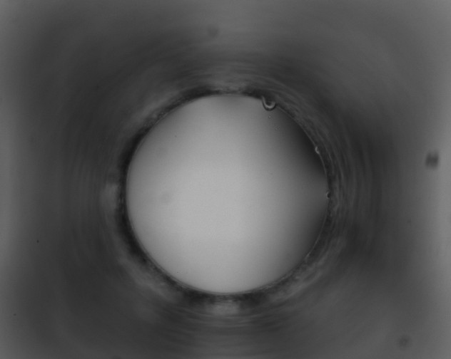 X0000101970600200807180728