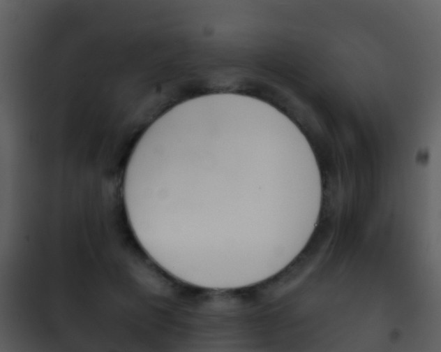 X0000101970601200807180728