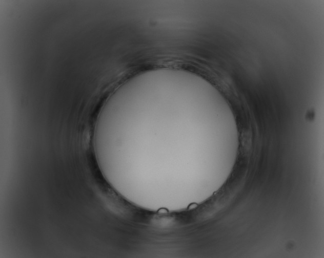 X0000101970602200807180728