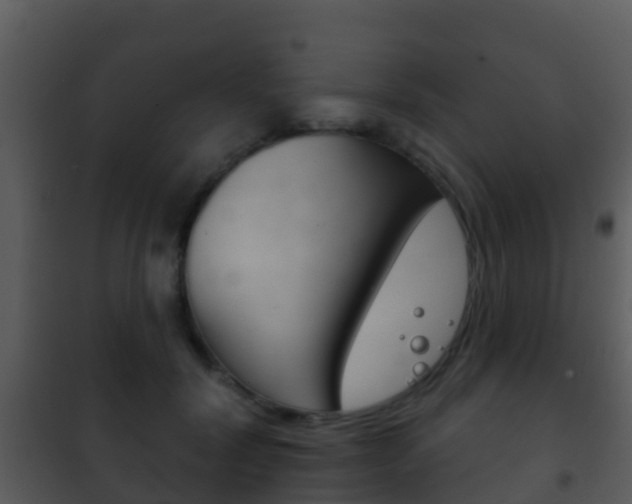 X0000101970604200807180728
