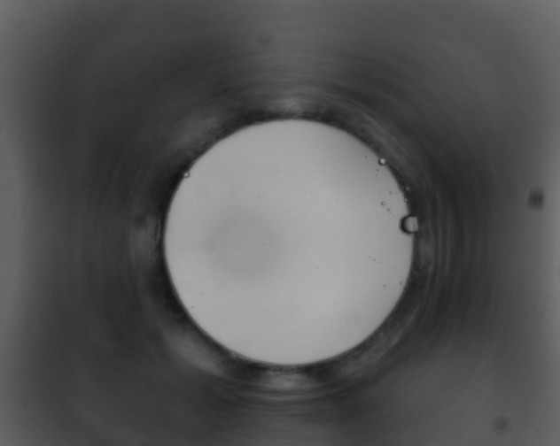 X0000101970605200807180728