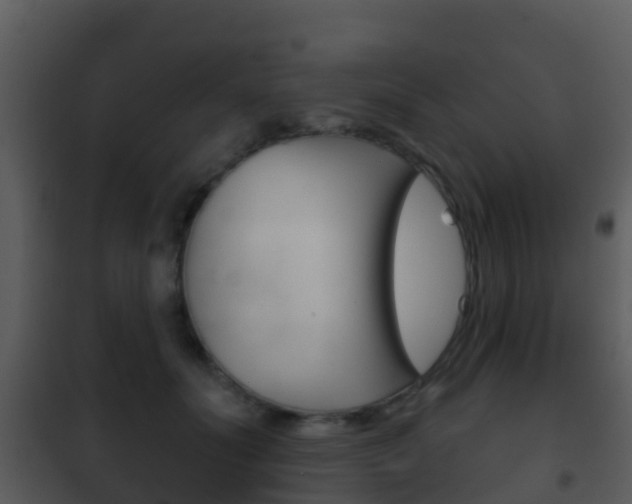 X0000101970606200807180728