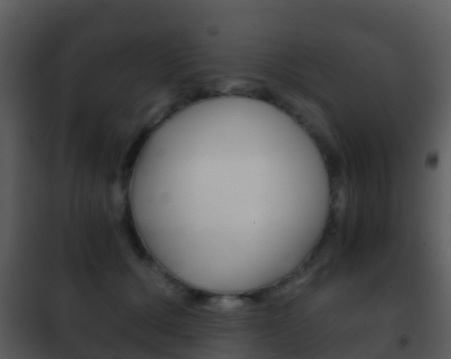 X0000101970607200807180728