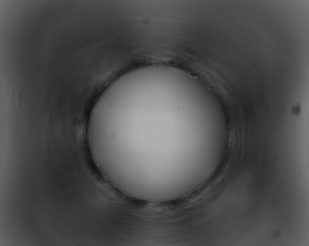 X0000101970608200807180728