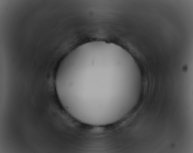X0000101970609200807180728