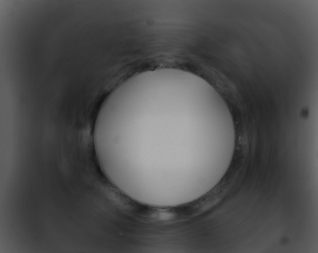 X0000101970610200807180728