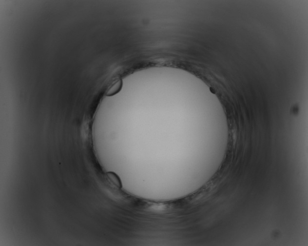 X0000101970611200807180728