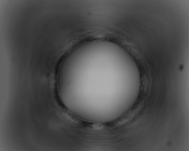 X0000101970612200807180728