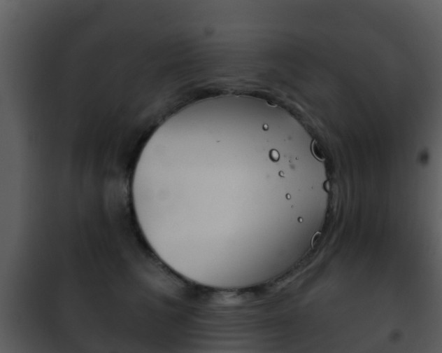 X0000101970613200807180728