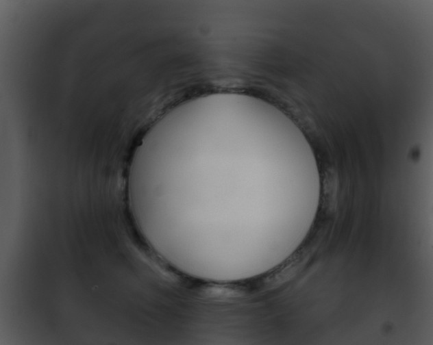 X0000101970614200807180728