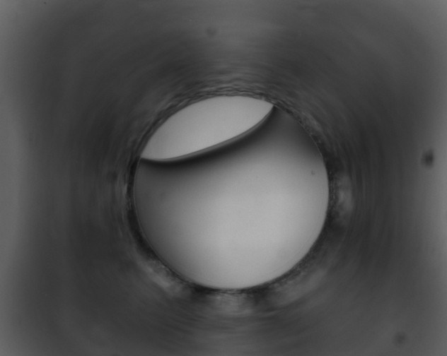 X0000101970615200807180728
