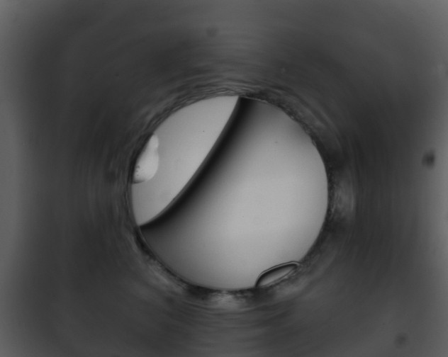 X0000101970616200807180728