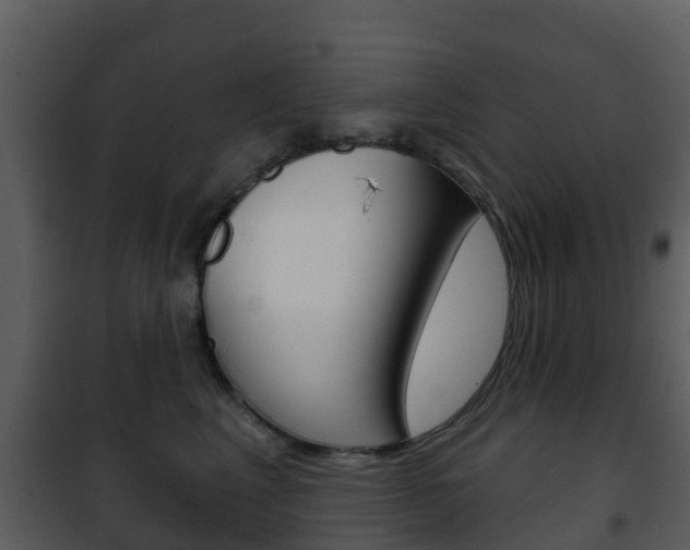 X0000101970617200807180728