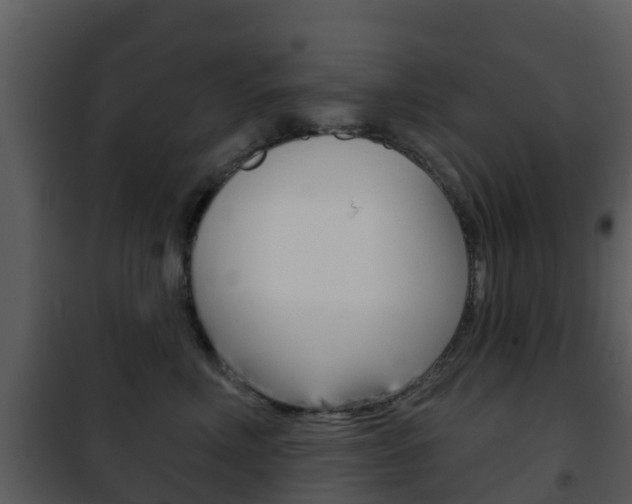 X0000101970618200807180728