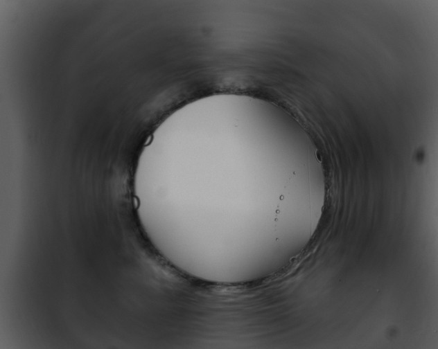 X0000101970619200807180728