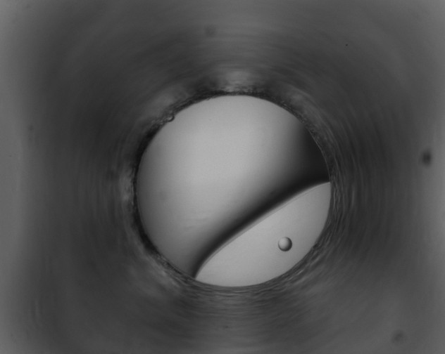 X0000101970620200807180728