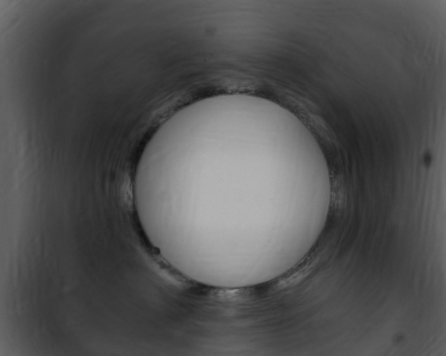 X0000101970622200807180728