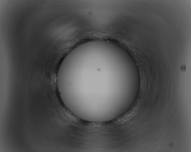 X0000101970624200807180728