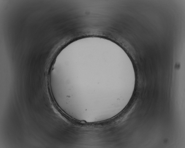 X0000101970625200807180727