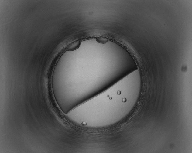 X0000101970626200807180727