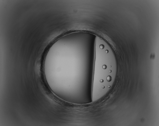 X0000101970627200807180727