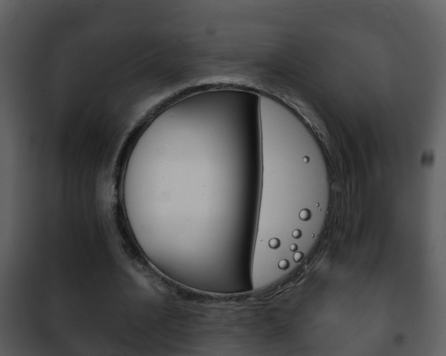 X0000101970628200807180727