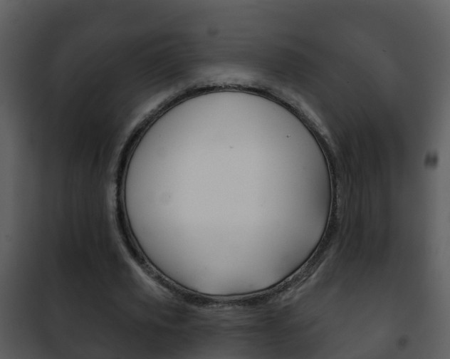 X0000101970629200807180727