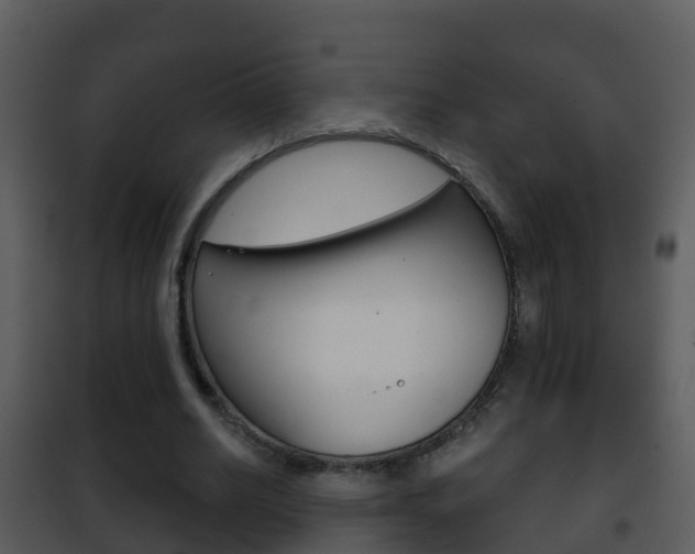 X0000101970630200807180727