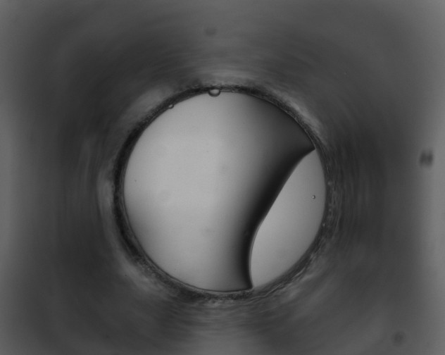 X0000101970631200807180727