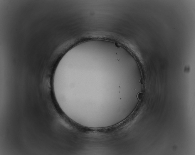 X0000101970633200807180727