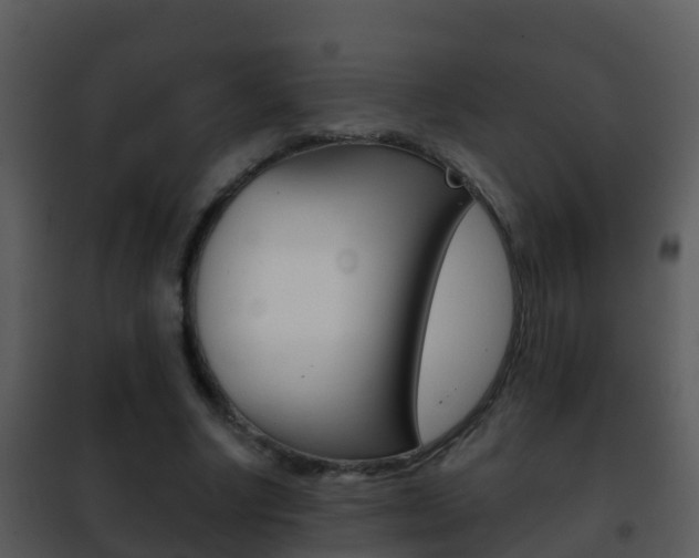 X0000101970634200807180727