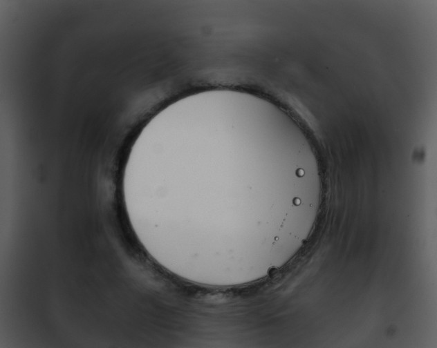 X0000101970635200807180727