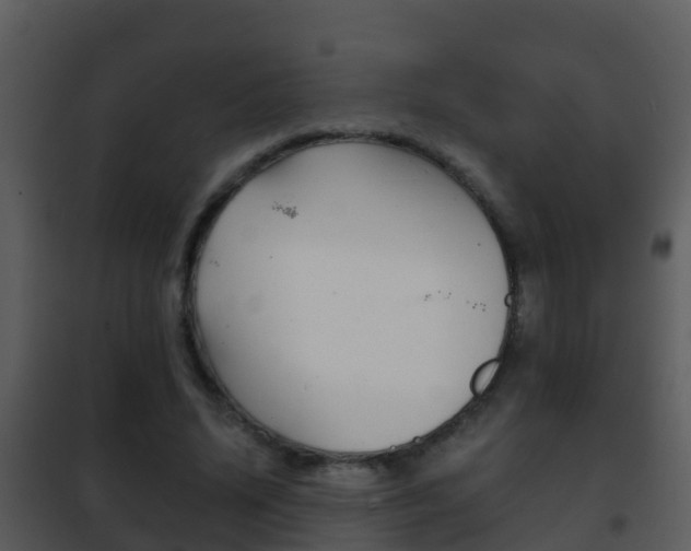X0000101970636200807180727