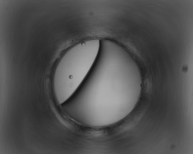 X0000101970638200807180727
