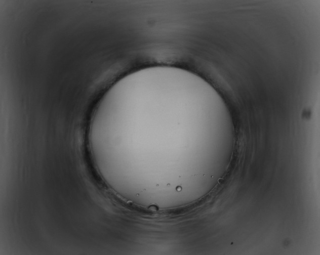 X0000101970639200807180727