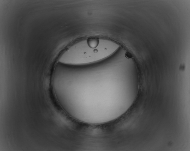 X0000101970640200807180727