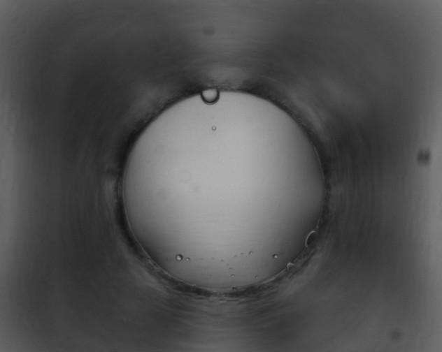 X0000101970641200807180727
