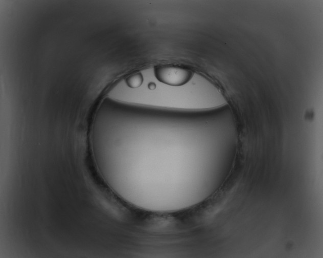 X0000101970642200807180727