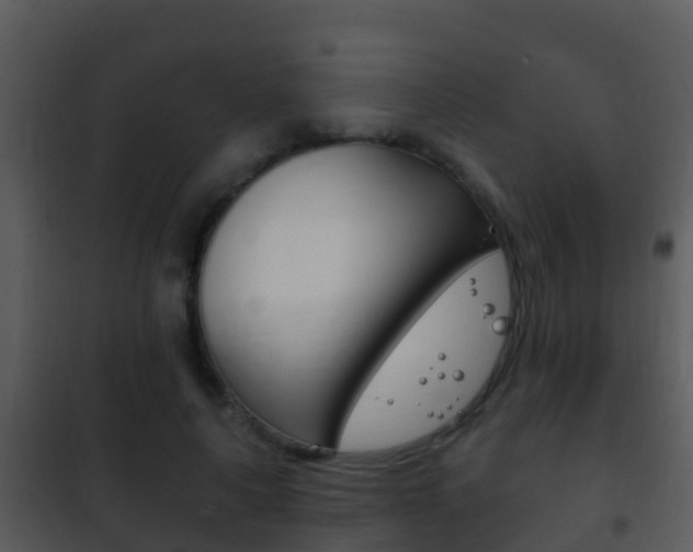 X0000101970643200807180727