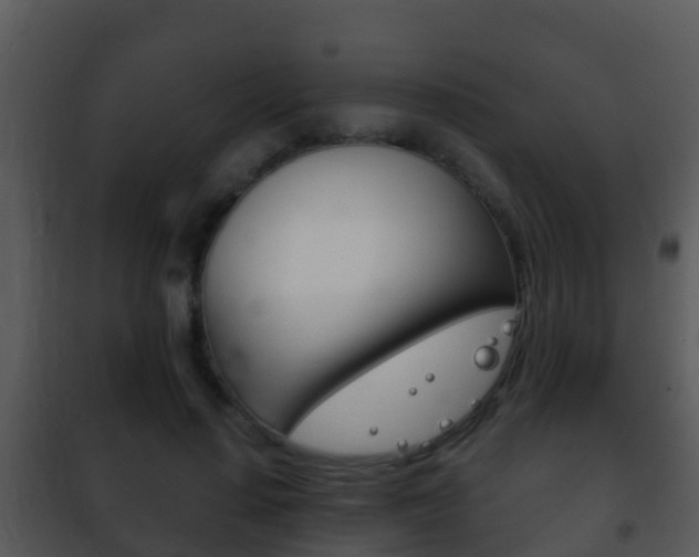 X0000101970644200807180727