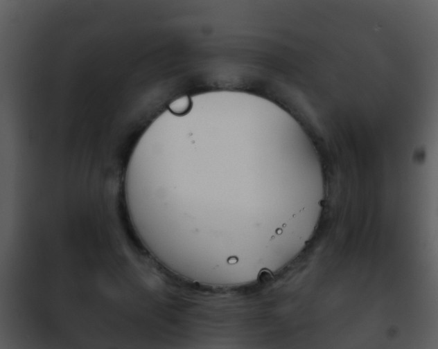 X0000101970645200807180727