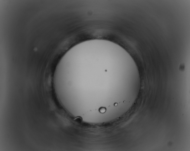 X0000101970646200807180727