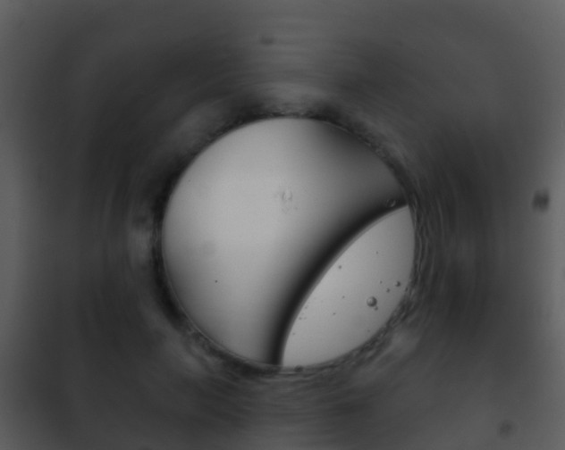 X0000101970647200807180727