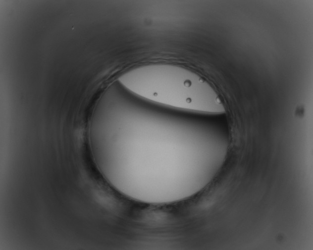 X0000101970648200807180727