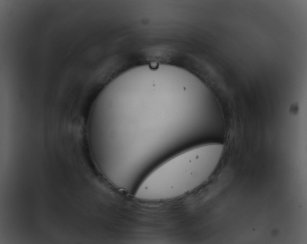 X0000101970649200807180727