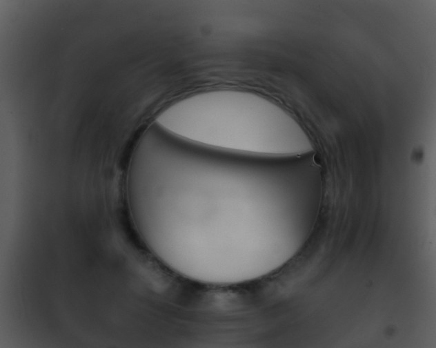 X0000101970650200807180727