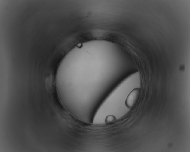 X0000101970651200807180727